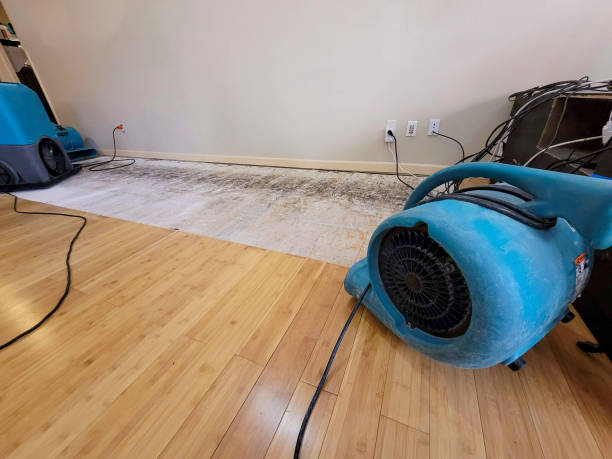 Professional Flood Damage Cleanup technician working in Palo, IA